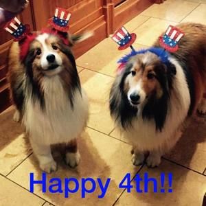 Meet your Posher, Marie